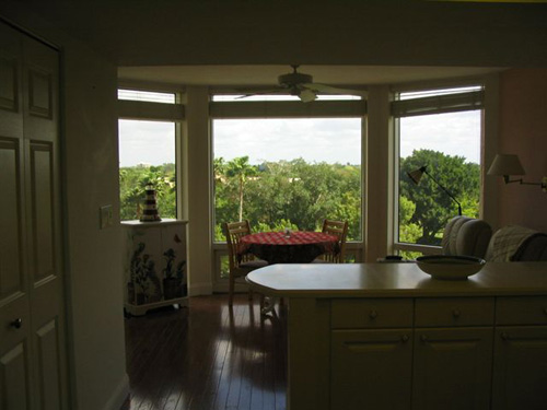 This one is again shooting directly at the window with no lights on.  It gives a clear shot of the view, but doesn't do anything for the kitchen or breakfast nook that potential buyers would probably also like to see.