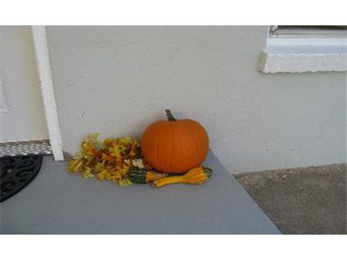 If you like the pumpkins, why not show how they look by showcasing the ENTIRE front porch?  Unless the pumpkins are a great selling feature?  No?  This was posted to market a $169,900 listing in Colorado