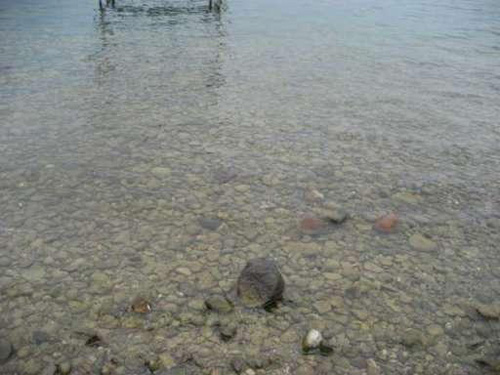 Ok, these rocks aren't even pretty...not sure why we're focusing on them...especially instead of the house?  If it's a pond that comes with the house, great,but why not show the entire pond...would probably be prettier a close-up of rocks?  This is marketing a $315,000 listing in Michigan   