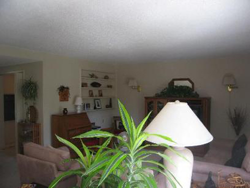 What's hiding behind that lamp and plant?  Oh... it's a living room!  This is a $365,500 listing in California  